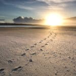 track path on sand beach to sun at sunset